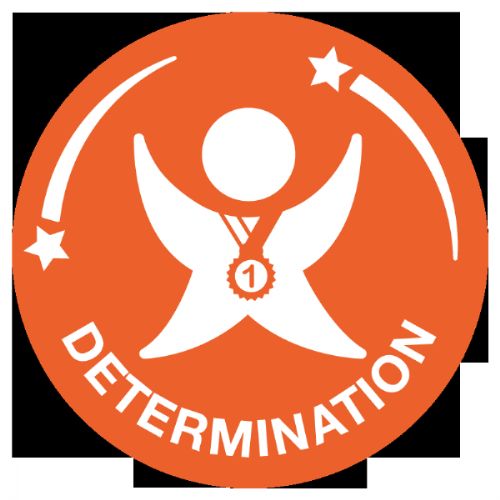 School Games - SOTG DETERMINATION icon NEW.PNG